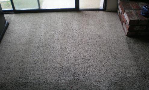Knockout Carpet Cleaning