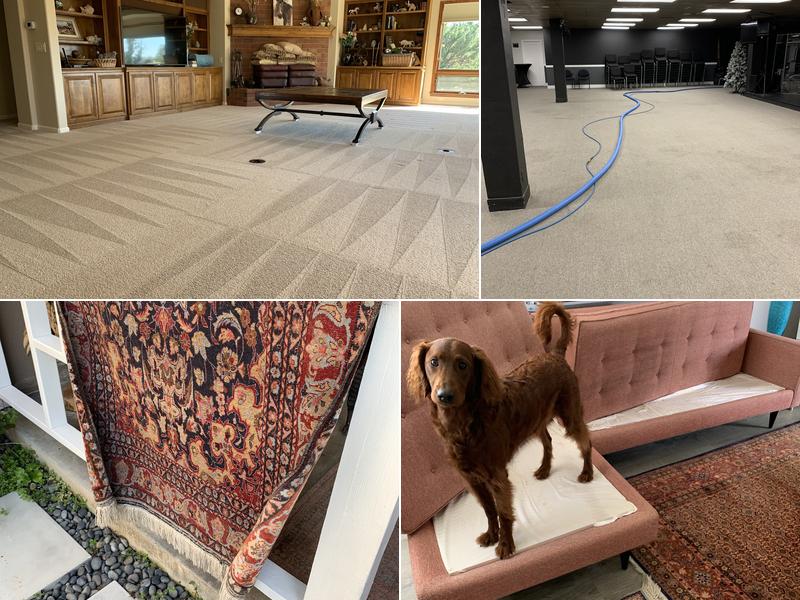 Steam Brothers Carpet Cleaning And More