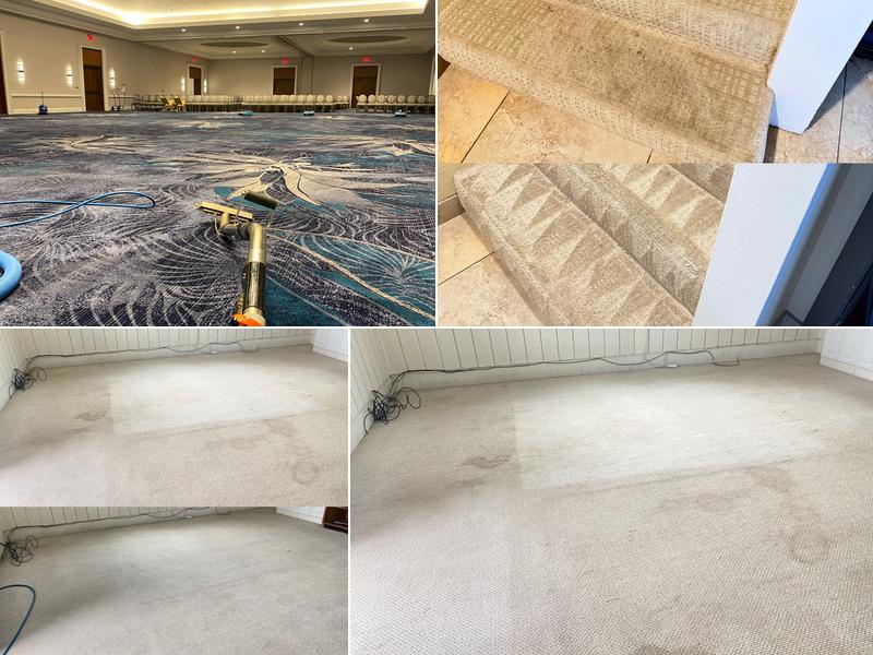 Maui Steamers Carpet and Upholstery Cleaning Services