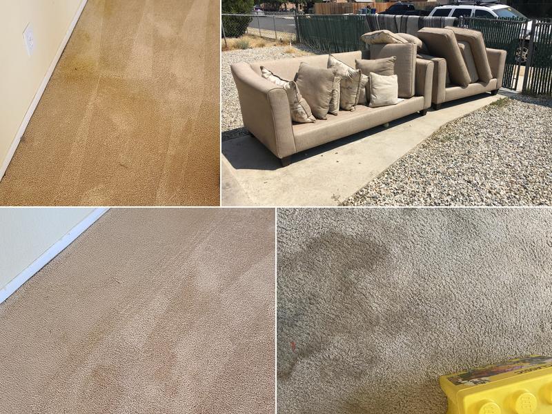 Scotty's Carpet Care