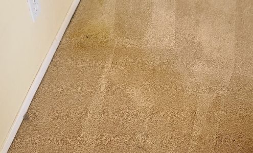 Scotty's Carpet Care