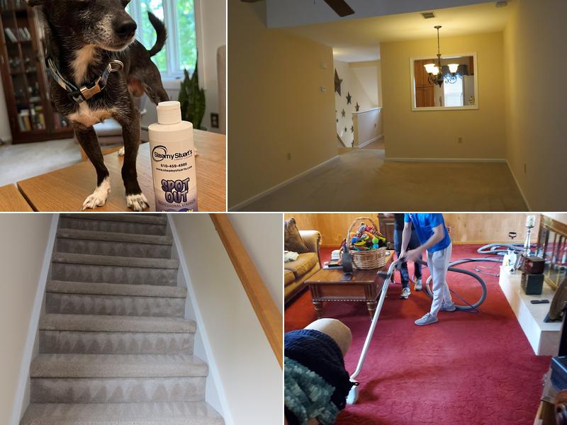 Steamy Stuart's Carpet Cleaning