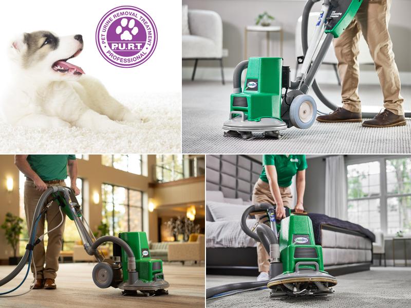 First Class Chem-Dry