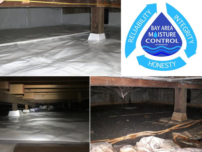 Bay Area Moisture Control