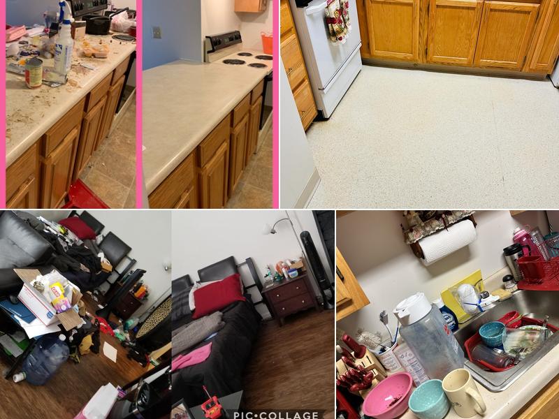 Ladies in Pink Maid Services