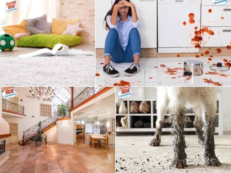 Heaven's Best Carpet & Upholstery