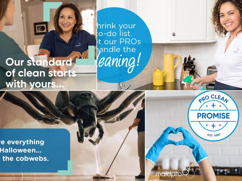MaidPro