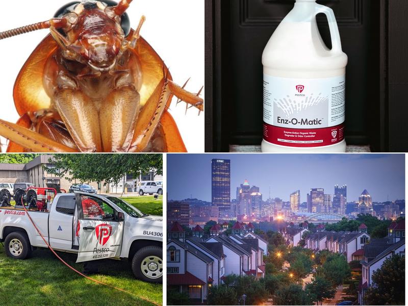 Pestco Professional Services