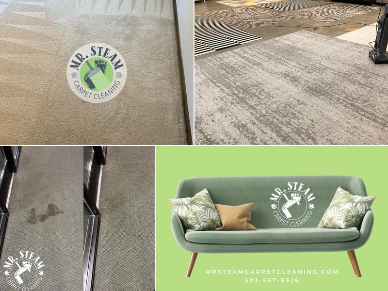 Mr Steam Carpet Cleaning