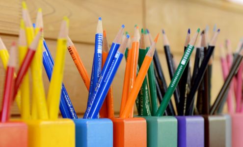 Littlebugs Learning Leaf