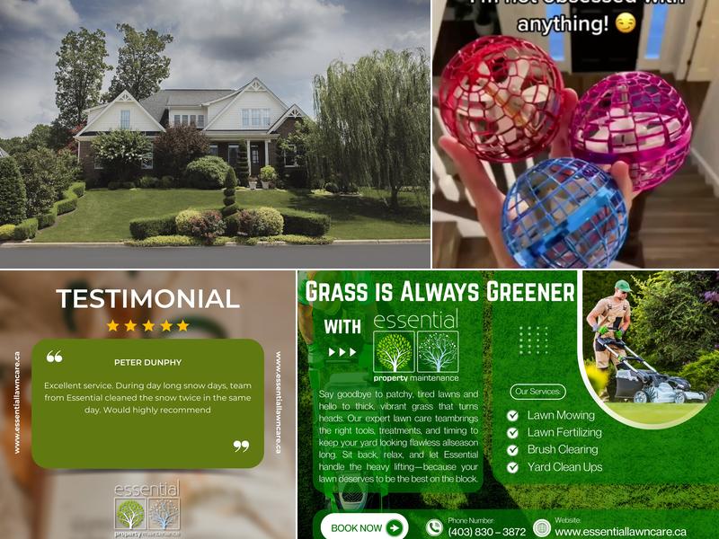 Essential Property Maintenance