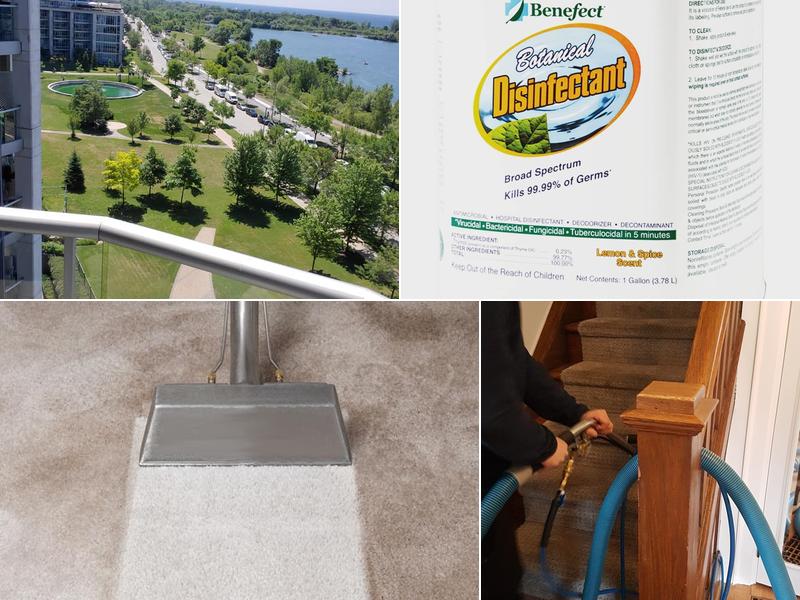 Bayview Steam Cleaning