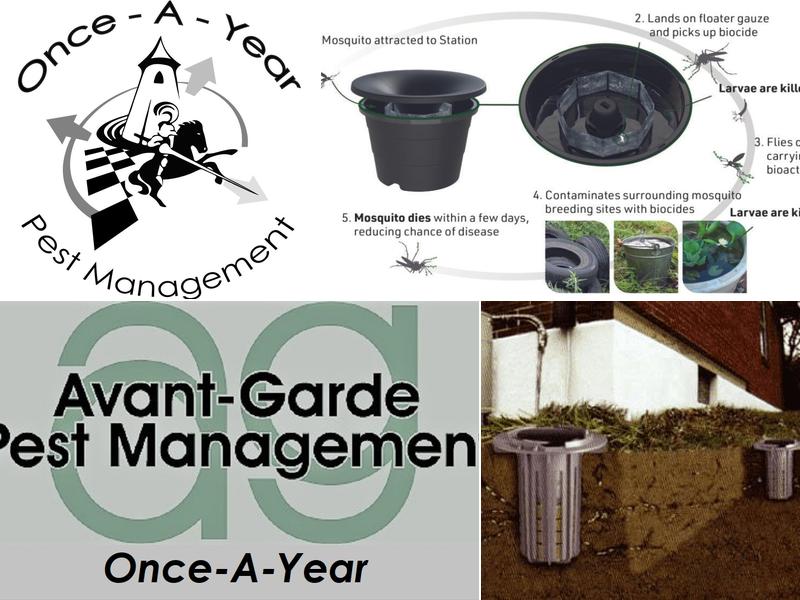 Avant-Garde Pest Management