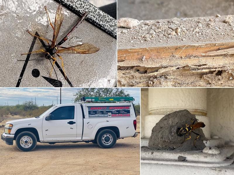 Burnett Exterminating