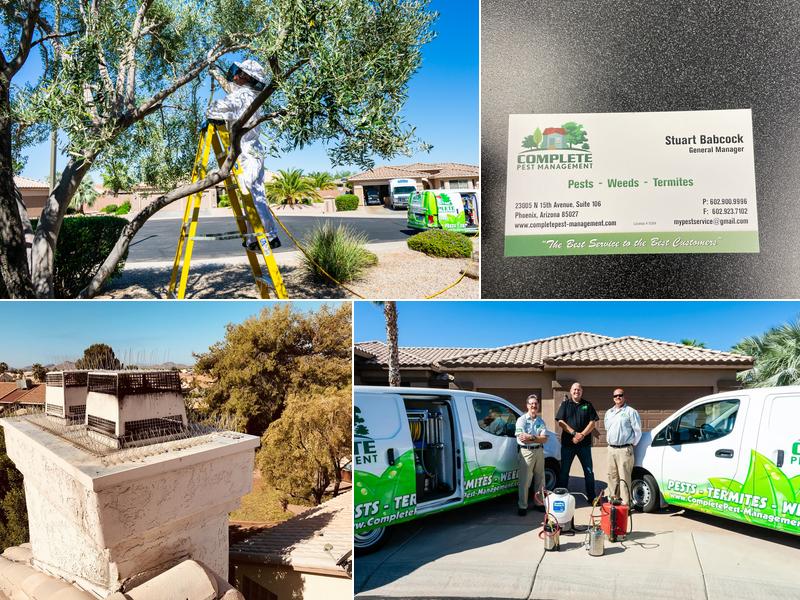 Complete Pest Management