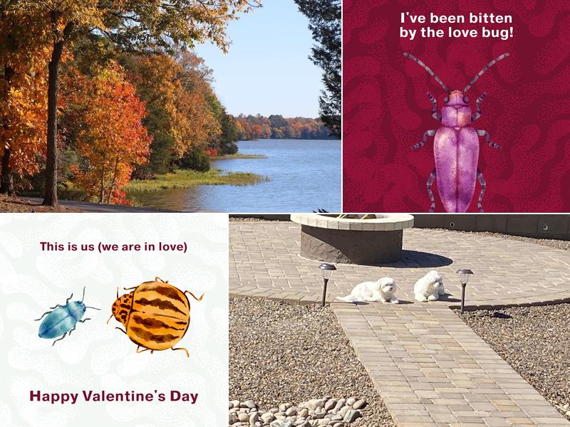 Bulwark Exterminating in Flagstaff