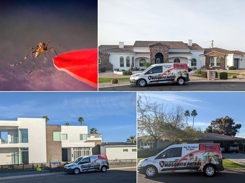 Bug Guardian Pest Prevention