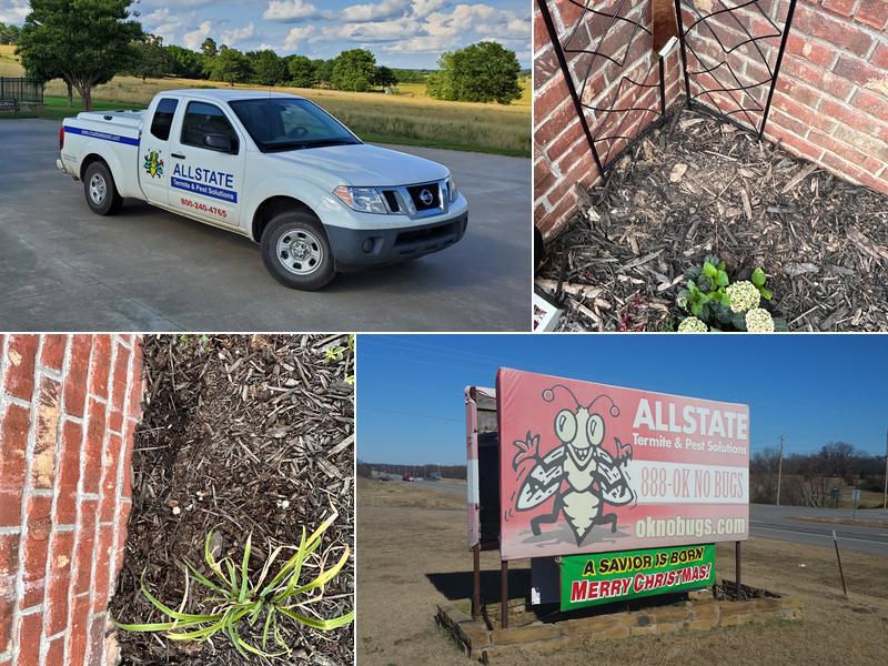 Allstate Termite & Pest Solutions