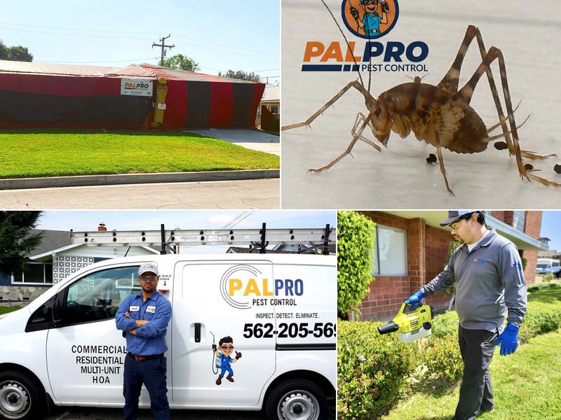 PAL Pro Pest & Termite Control