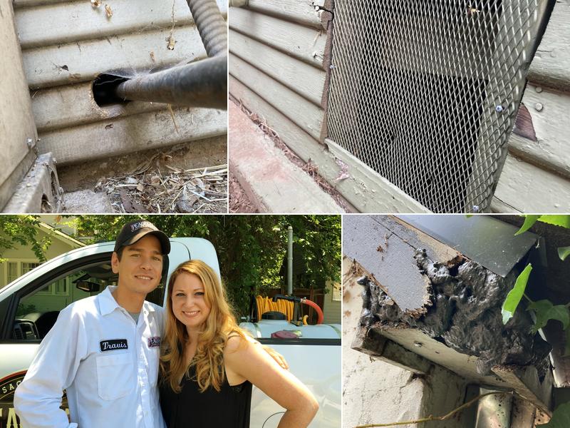 Peacemaker Pest Control