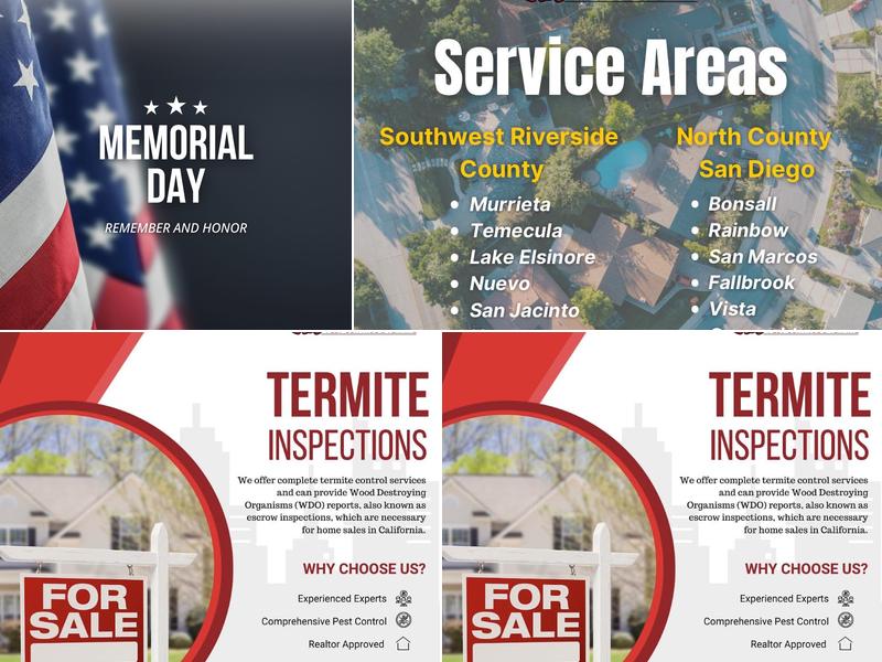 Knockout Pest Control & Termite