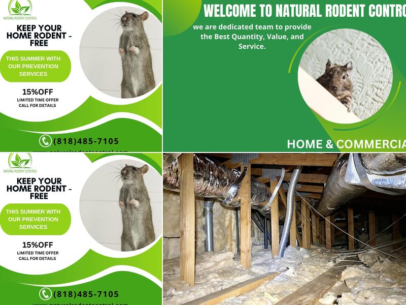 Natural Rodent Control