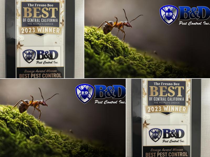 B & D Pest Control Inc.
