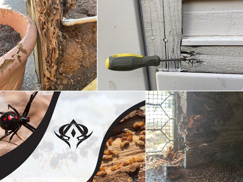 Alpha Rodent and Pest