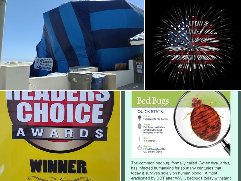 O’Connor Pest Control Central Coast