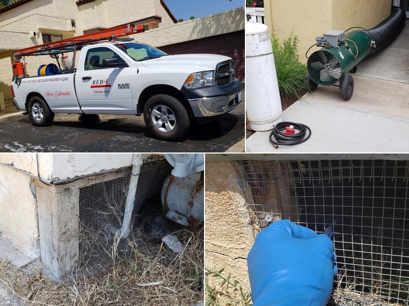 RED E Pest Prevention