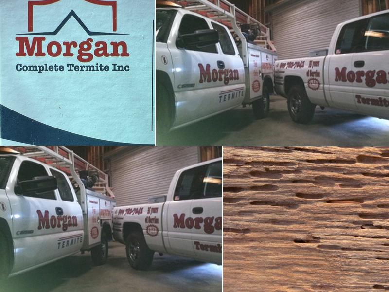 Morgan Termite Control