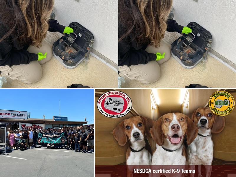 Round The Clock, Inc.