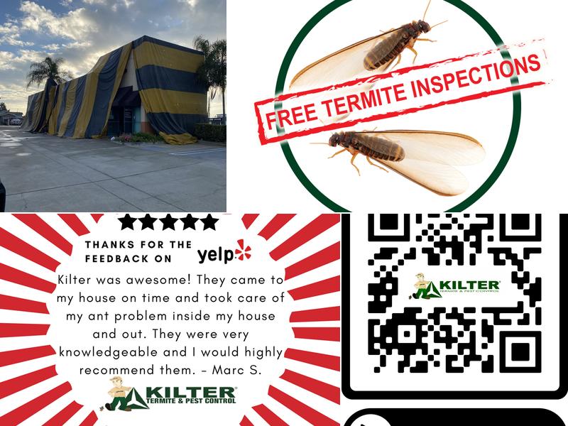 Kilter Termite and Pest Control