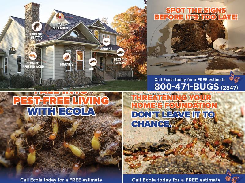 Ecola Termite and Pest Control Services
