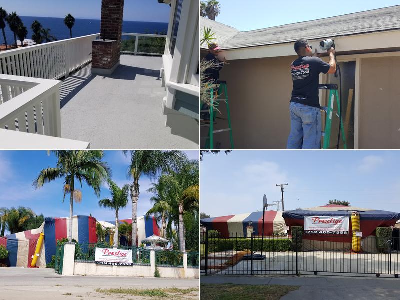 Prestige Termite Solutions