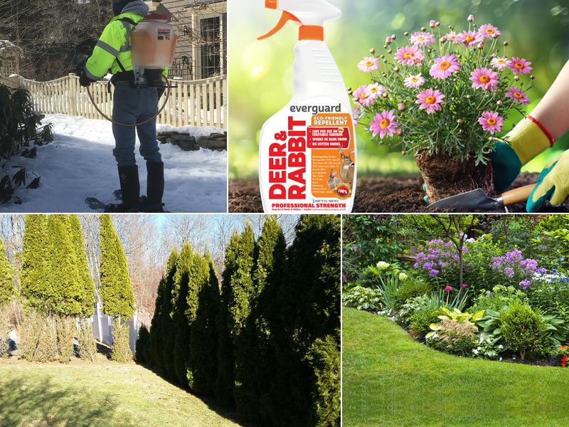 American Deer Proofing