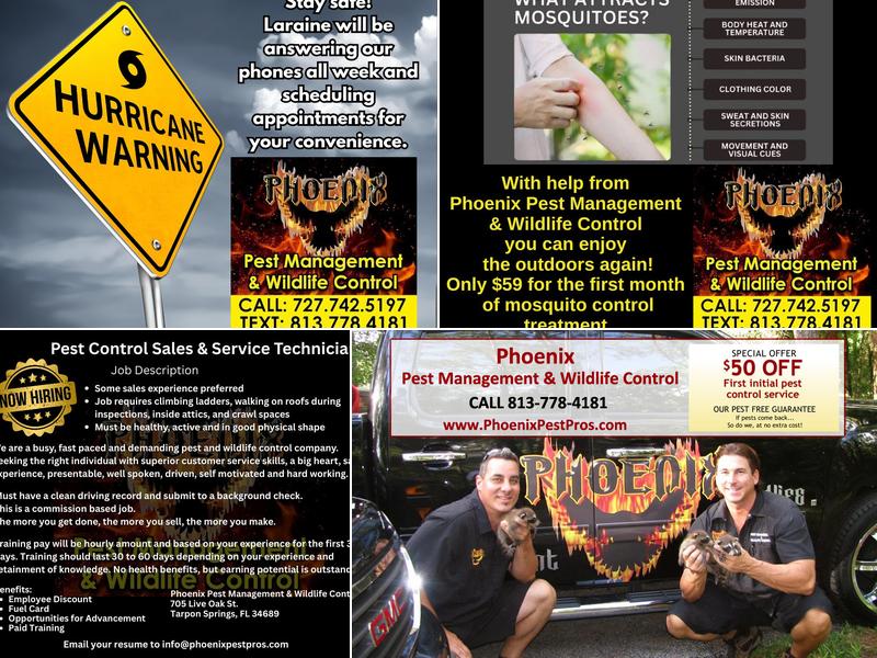 Phoenix Pest Management and Wildlife Control