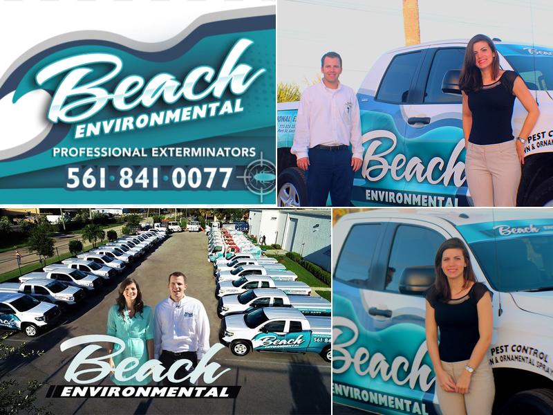 Beach Environmental Exterminating