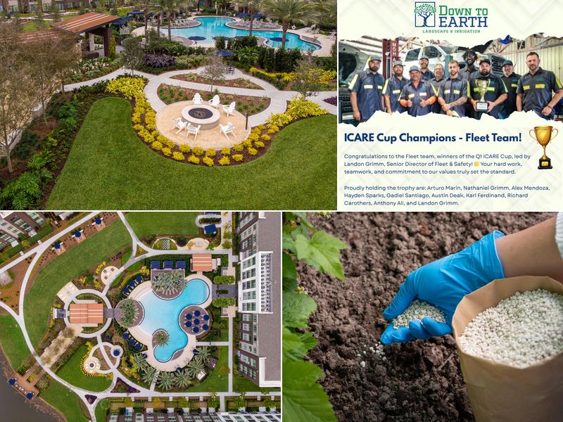 Down To Earth Landscape & Irrigation