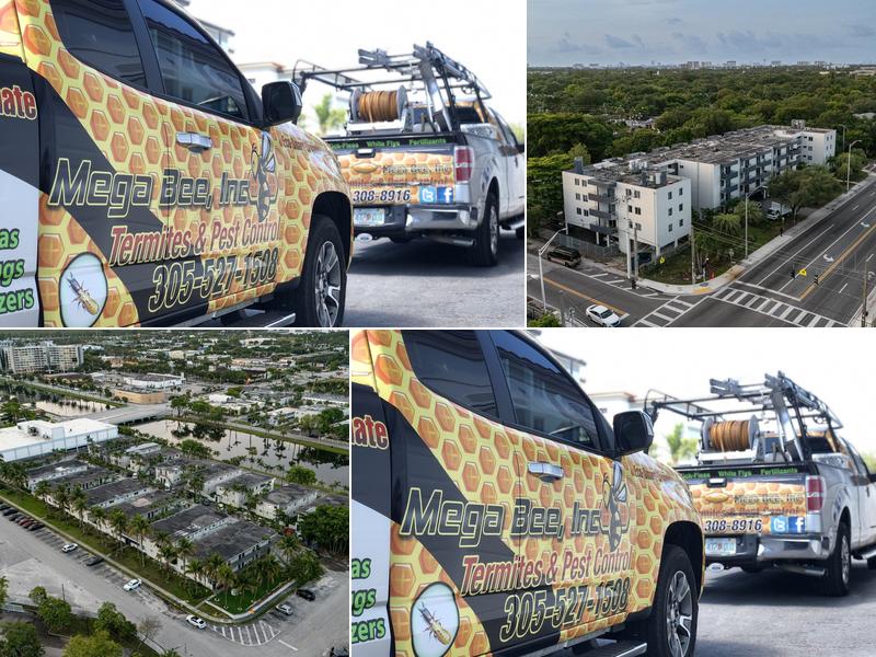 Mega Bee Rescues & Pest Control