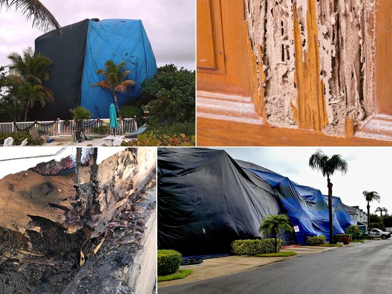 JD Smith Pest Control