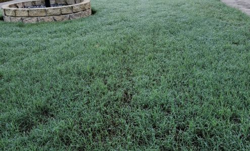 Port Orange Pest Control Inc 767 Kenowood Dr, Port Orange Florida 32129