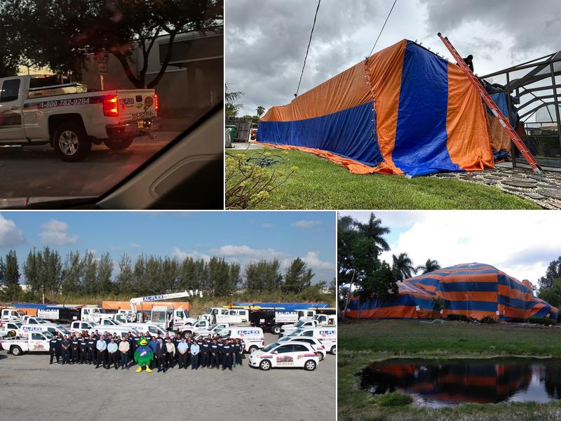 AL-FLEX Exterminators