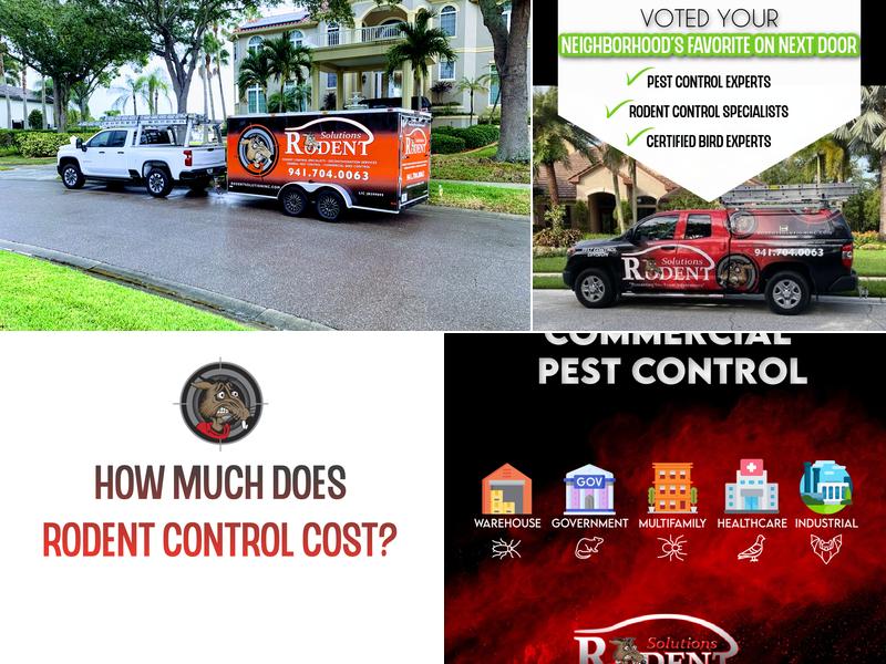 Rodent Solutions Inc