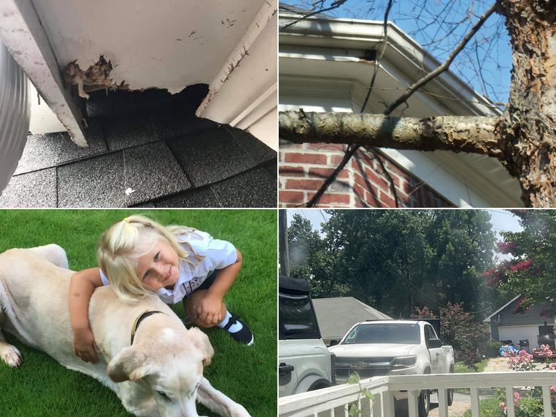 Forsyth Exterminating