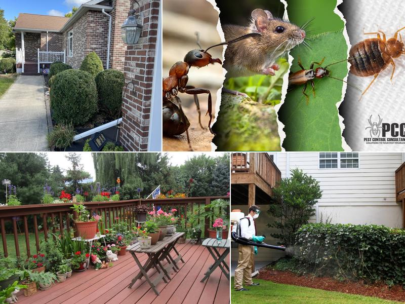 Pest Control Consultants