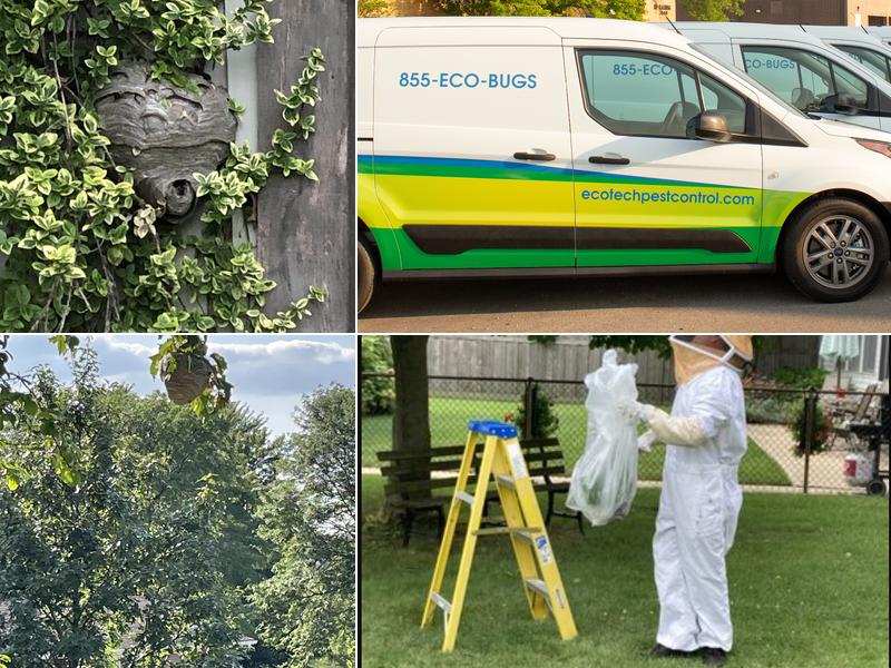 Eco Tech Pest Control