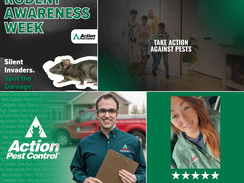 Action Pest Control