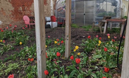 Koos Nursery 1264 Panther Creek Rd, El Paso Illinois 61738