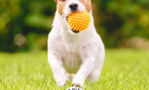 Cragen Lawn Care LLC